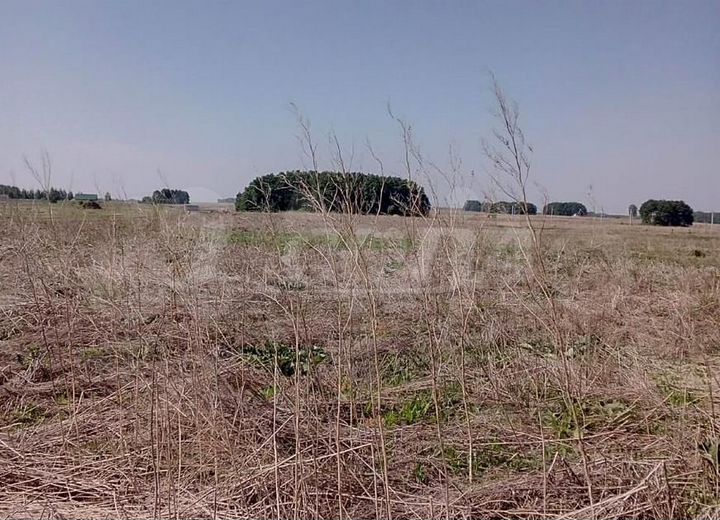 Участок 8 сот. (ИЖС)