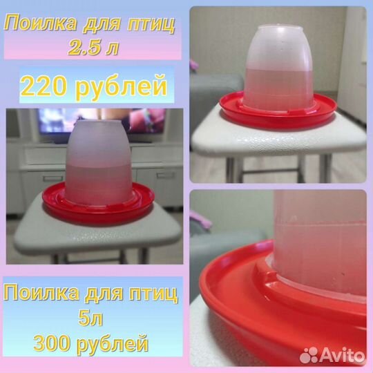 Кормушки и Поилки для домашней птицы