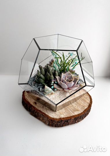 Флорариум - Додекаэдр