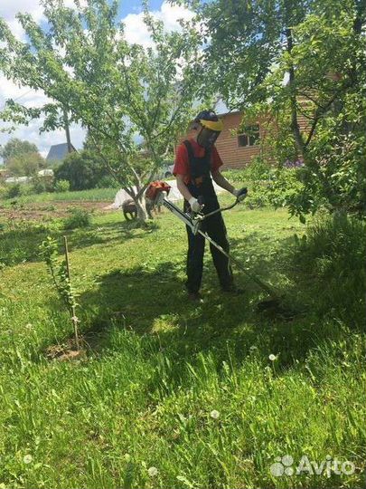 Спил деревьев / альпинист / покос травы