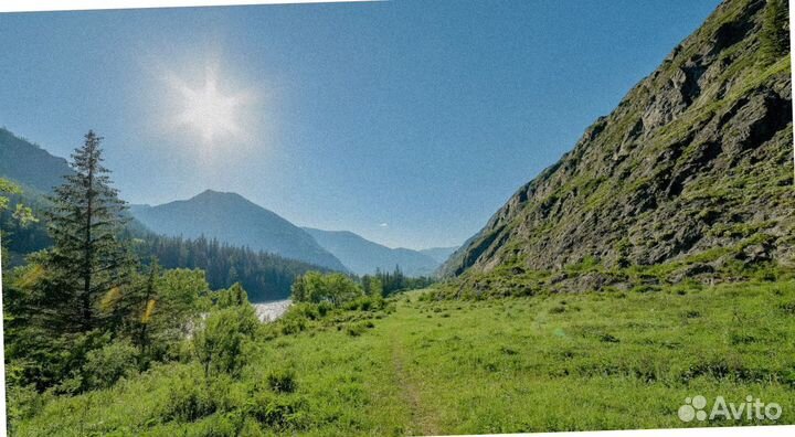 Тур поездка Алтай лето программы 4-7 дней