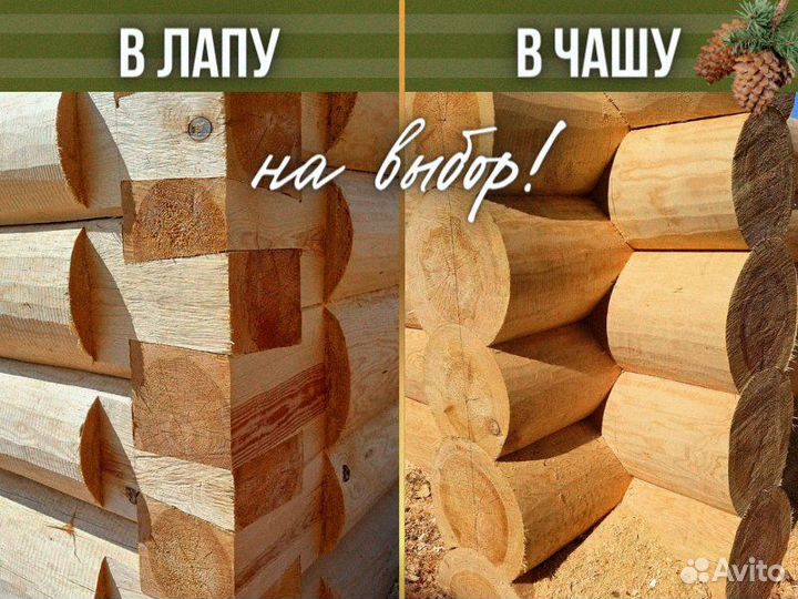 Сруб дома из бревна ручной рубки не бруса 6x8