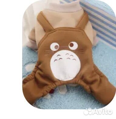 Вещи на маленькую собаку