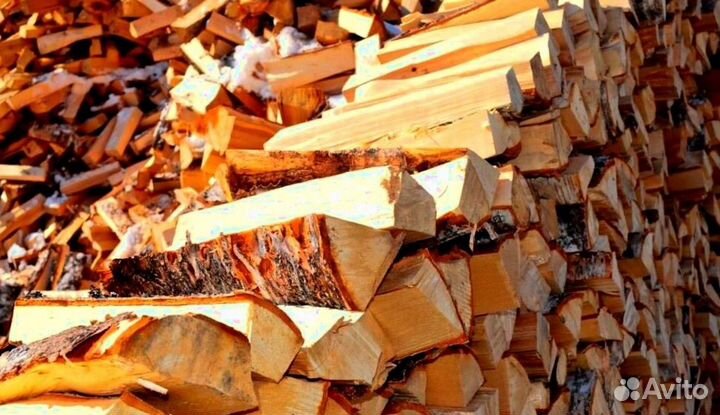 Дрова с Зеленогорска