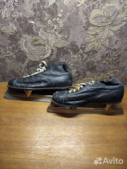 Коньки гаги