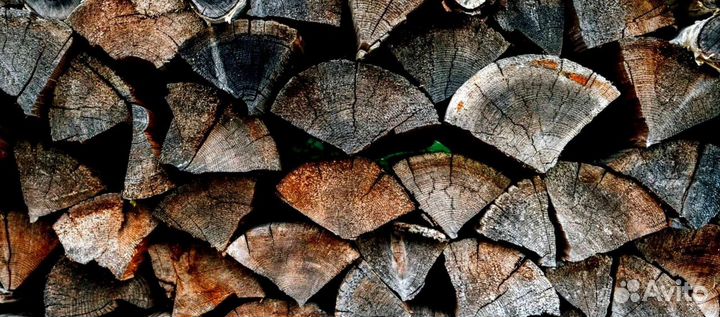 Дрова с Зеленогорска