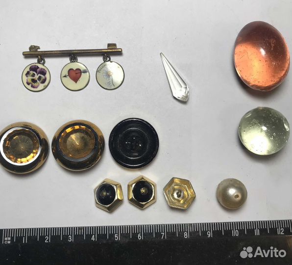 Ракушка Рапан Белемнит Окаменелости Шишки