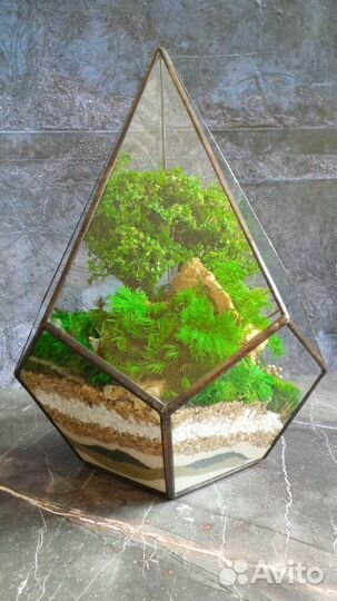 Подарок Моссариум с водопадом и деревом