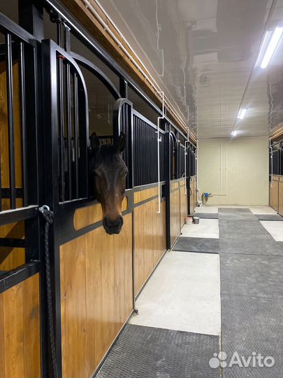 Постой / Аренда денников