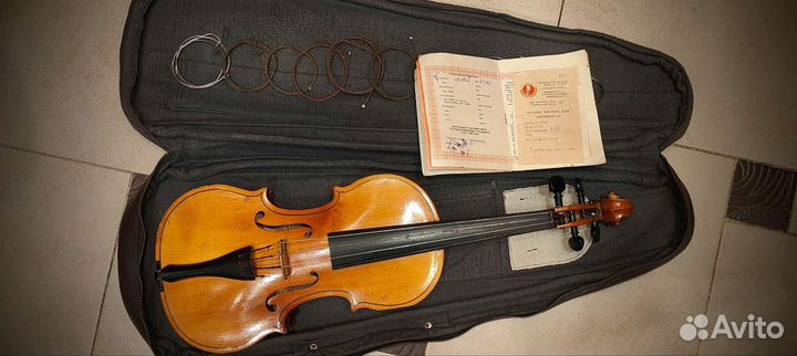 Скрипка 2/4