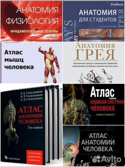 Книги по Анатомии