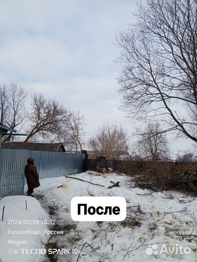 Демонтаж,Спил деревьев.Облагораживание территории