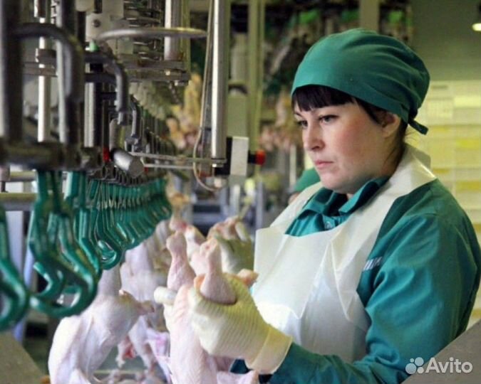 Работник на птицефабрику (вахта)