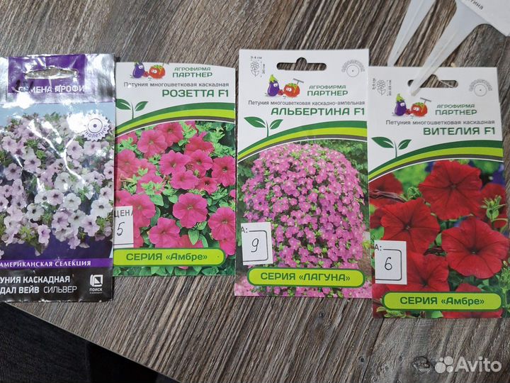 Петунии сортовые