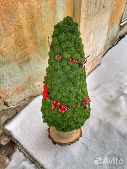 Елка из стабилизированного мха