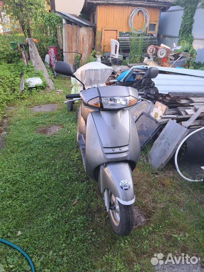 Honda Lead JF-06 (101 см)