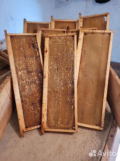 Сушь для пчел