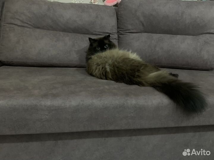 Угловой диван бу