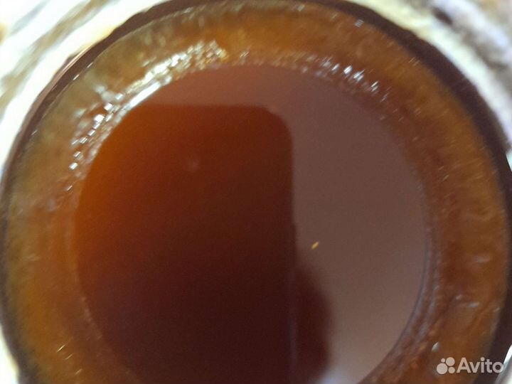 Мед таежный