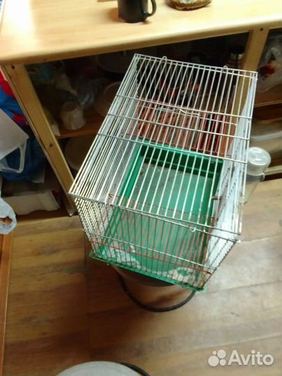 Клетка для грызунов бу