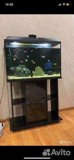 Аквариум с тумбой