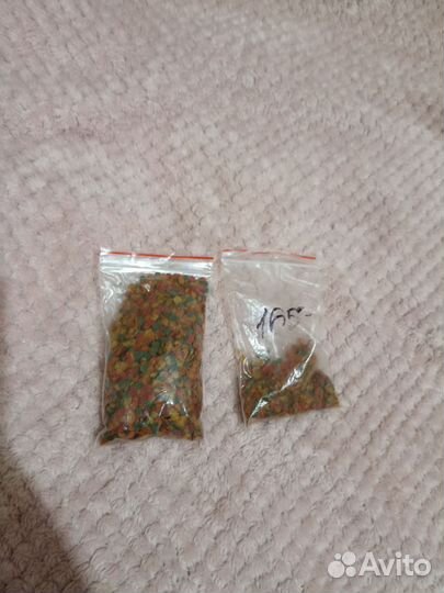 Аквариум с рыбками