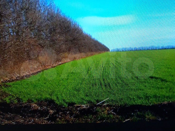 Участок 10 га (СНТ, ДНП)