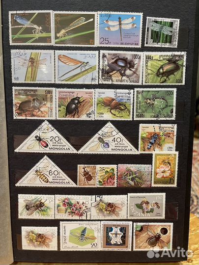 Флора и фауна. Альбом 3 лот 1