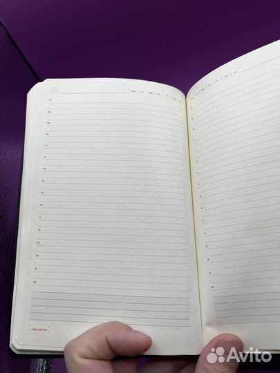 Ежедневники Bruno Visconti