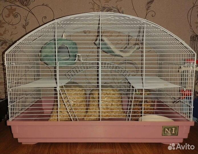 Бокс крысиная норка. Для крысок. Крысы