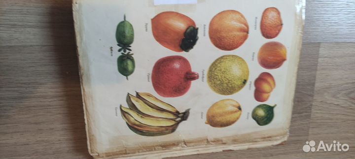 Кулинария СССР, 1955 г, 960 с., уникальное издание