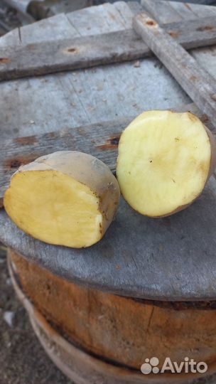 Крупный картофель