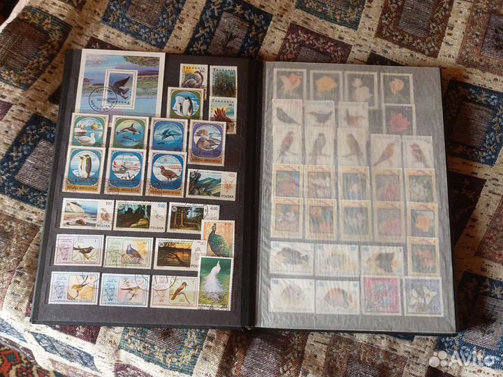 Альбомы с коллекцией марок, 570 шт