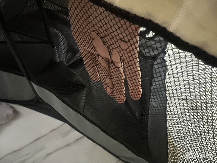 Манеж для мелких животных