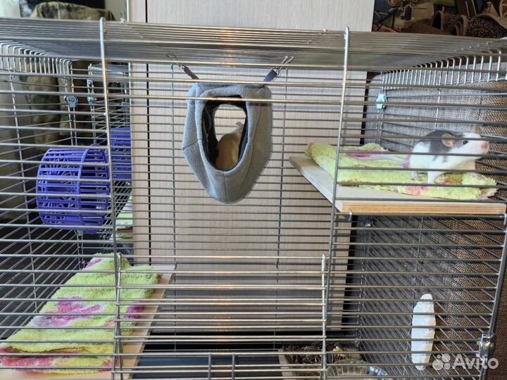 Клетка с красками