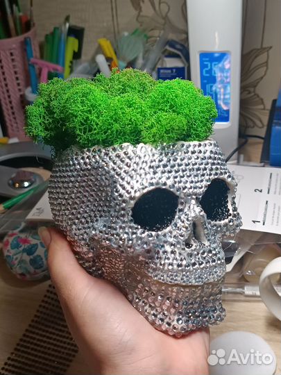 Череп в стразах со стабилизированным мхом