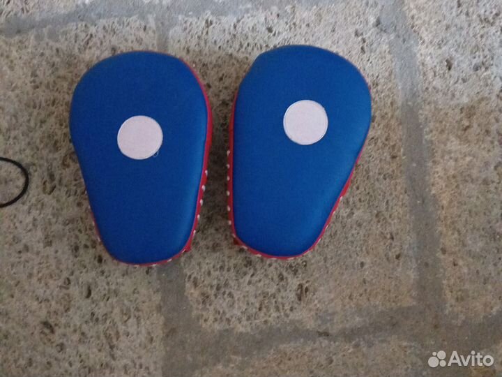 Лапа для единоборств