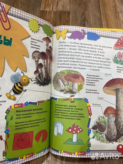 Развивающие книги для детей