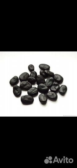 Бобы русские