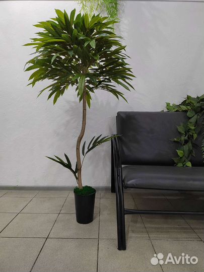 Дерево, предмет интерьера