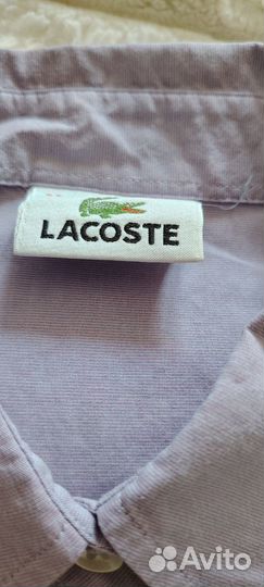 Рубашка lacoste женская 36