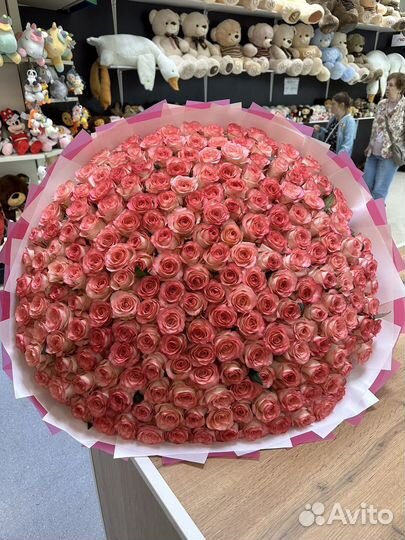 101 Роза букеты