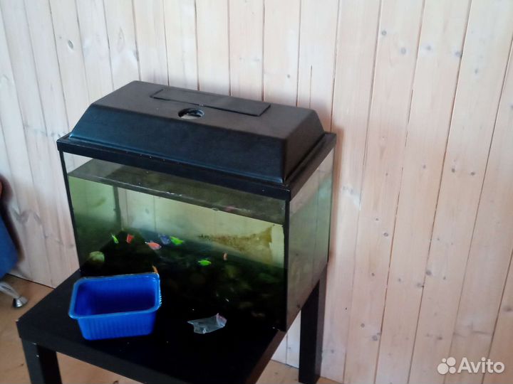 Аквариум 60 литров