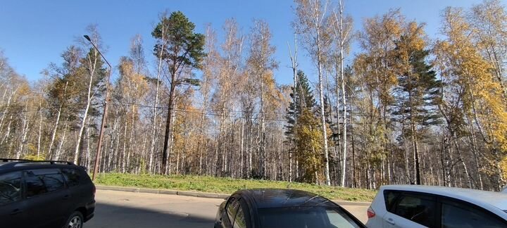 Квартира-студия, 34,2 м², 16/17 эт.