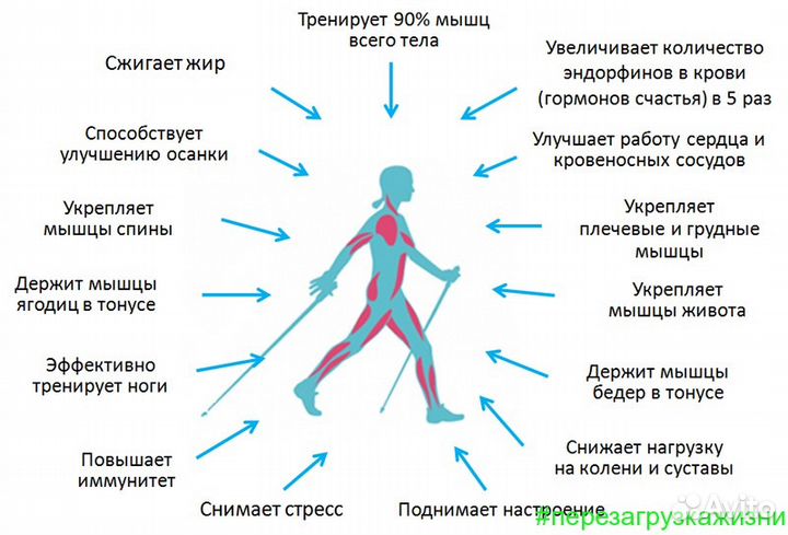 Палки для скандинавской ходьбы