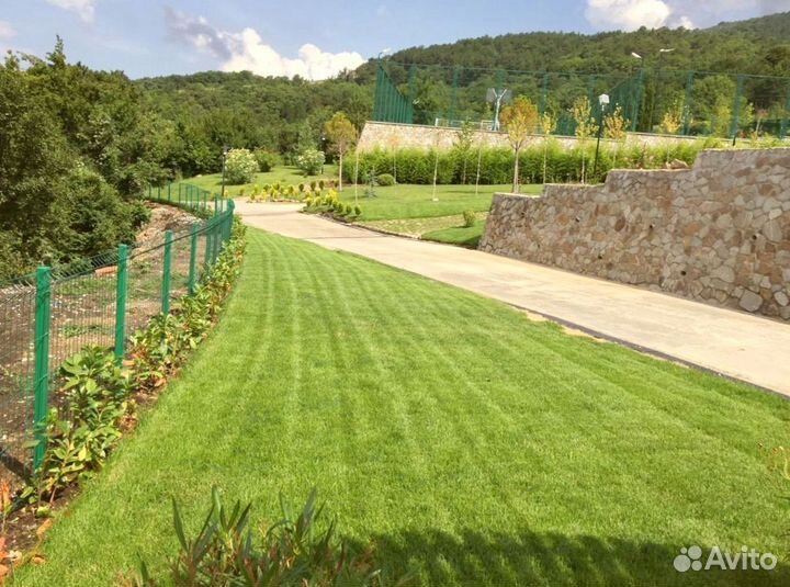 Рулонный газон