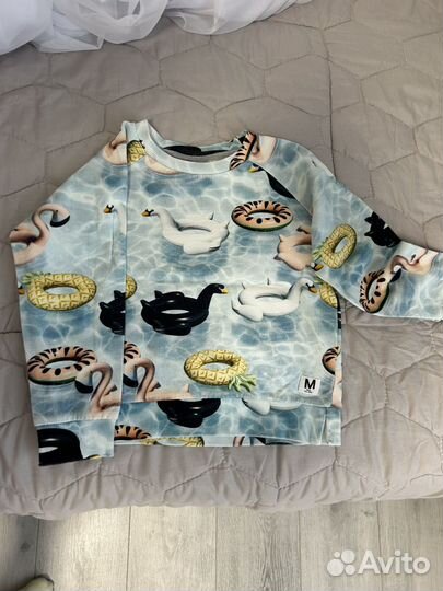 Свитшот / толстовка Molo 116