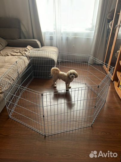 Вольер для собак