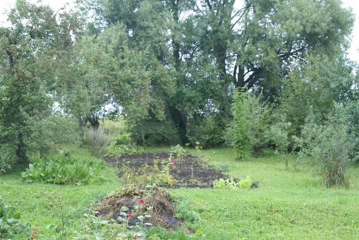 Участок 22 сот. (ИЖС)