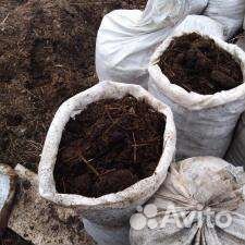 Конский перегной, навоз